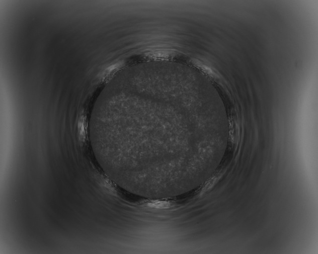 X0000086960718200705071336