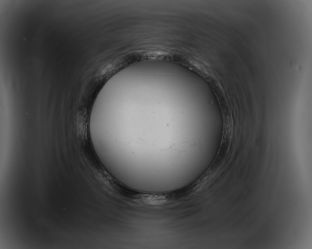 X0000086960719200705071336
