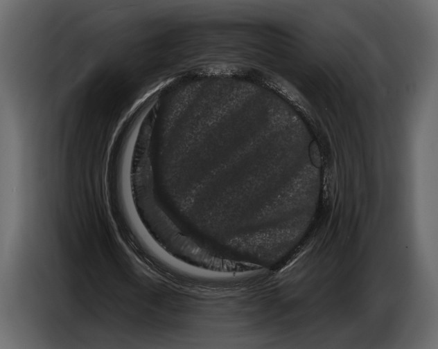 X0000086960722200705071335