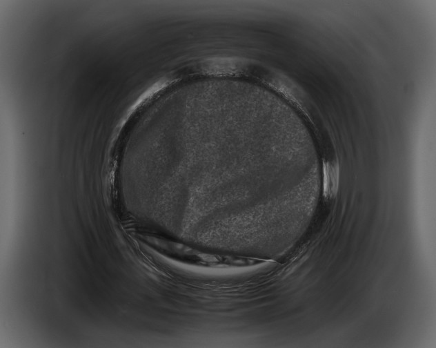 X0000086960723200705071335