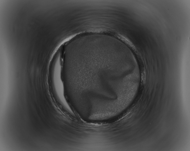 X0000086960724200705071335