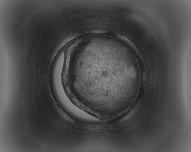 X0000086960725200705071335