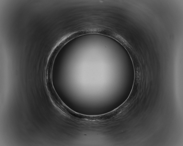 X0000086960726200705071335