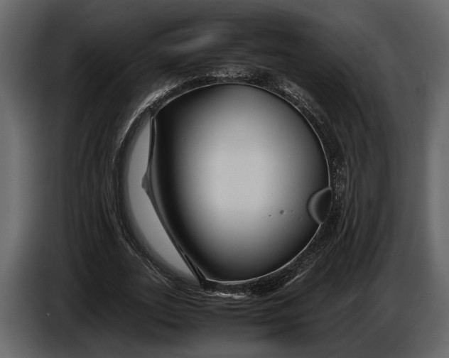 X0000086960727200705071335