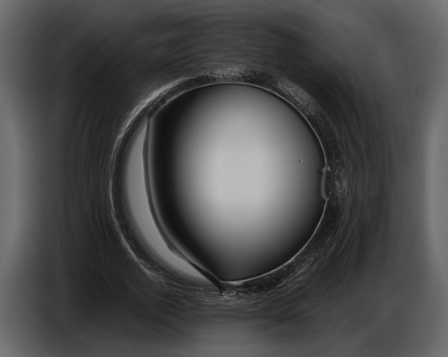 X0000086960728200705071335