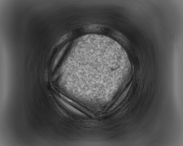 X0000086960729200705071335