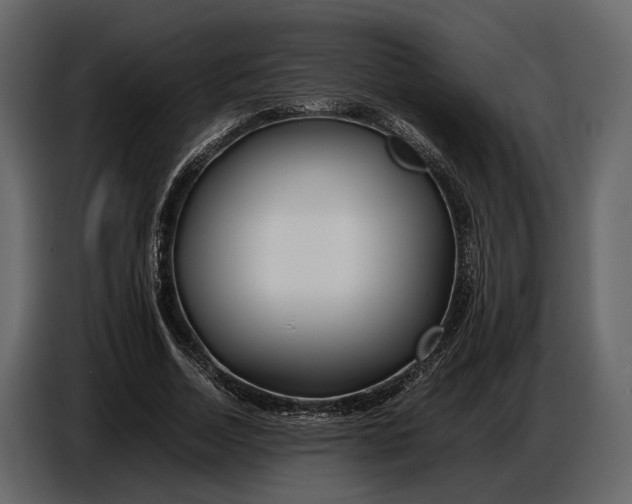 X0000086960730200705071335