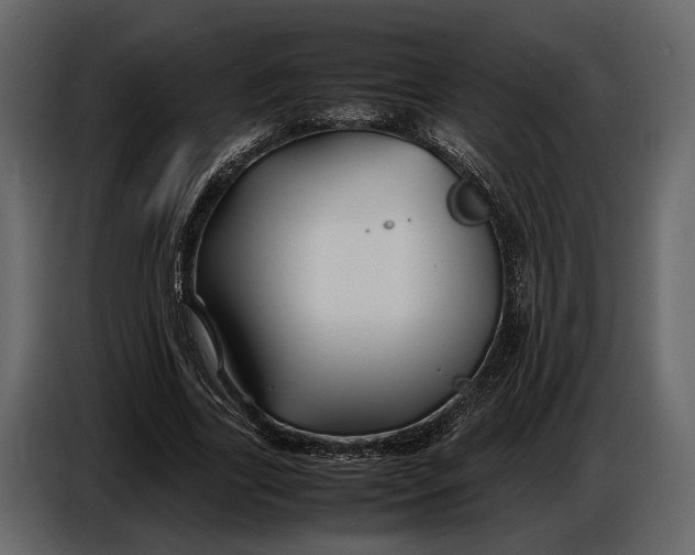 X0000086960731200705071335