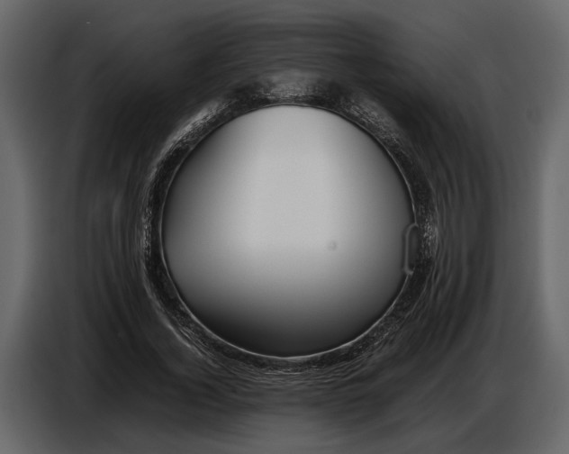 X0000086960732200705071335