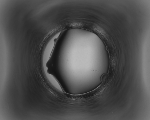 X0000086960733200705071335