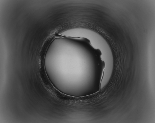 X0000086960734200705071335