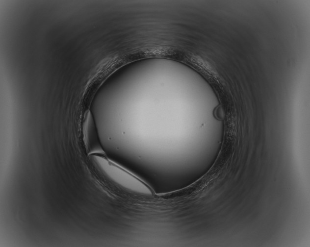 X0000086960738200705071335
