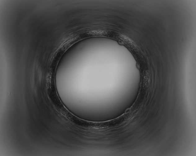 X0000086960739200705071335