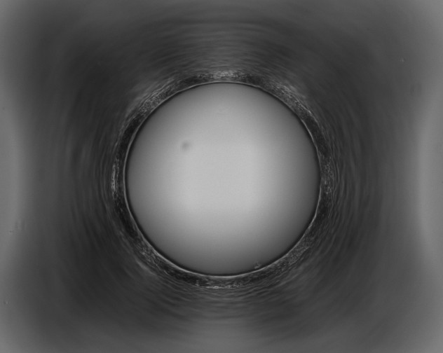 X0000086960740200705071335