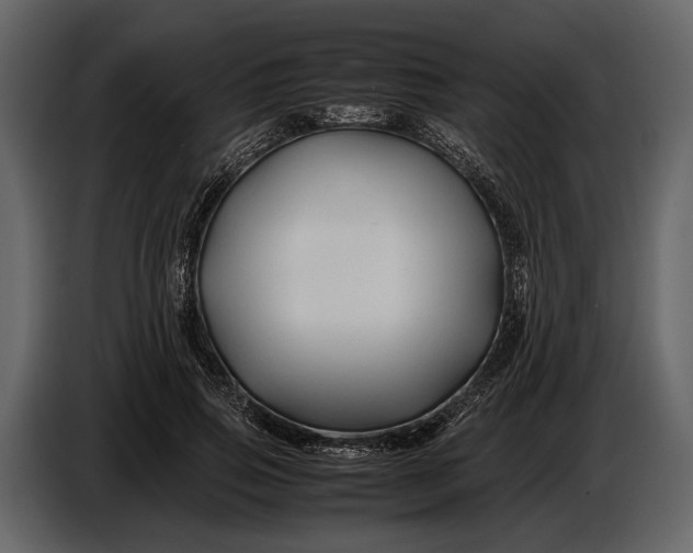 X0000086960741200705071335