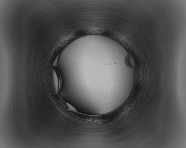 X0000086960742200705071335