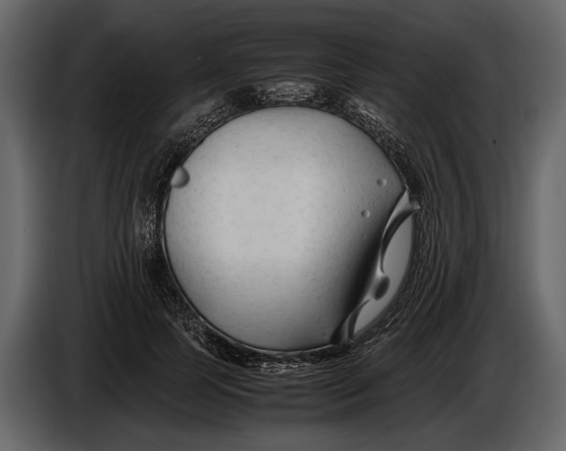X0000086960745200705071335