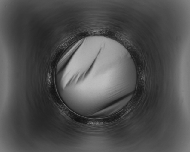X0000086960746200705071335