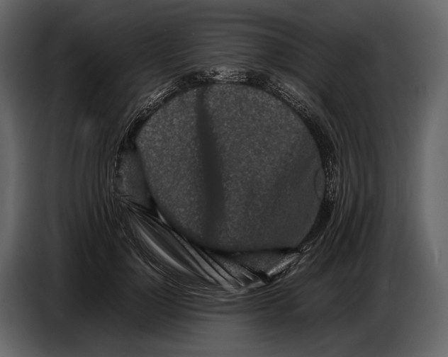 X0000086960748200705071335