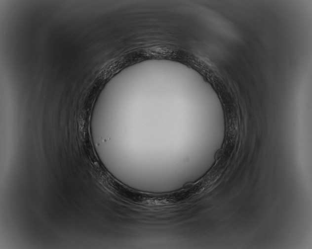 X0000086960749200705071335