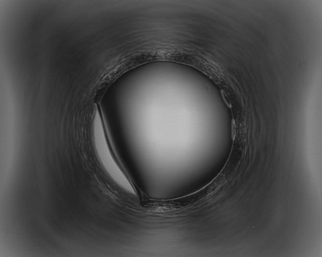 X0000086960750200705071335