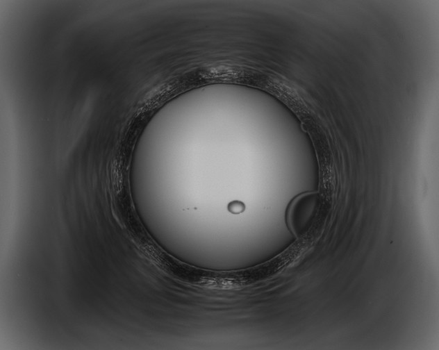 X0000086960751200705071335