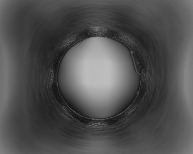 X0000086960752200705071335