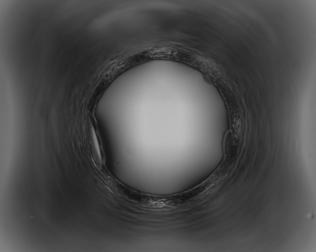 X0000086960753200705071335