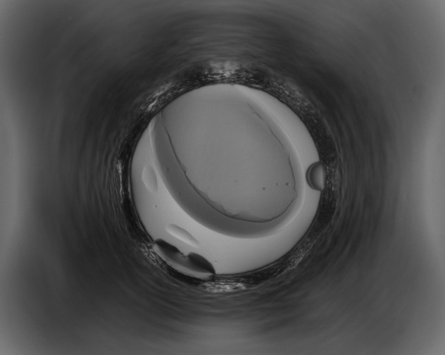 X0000086960754200705071336