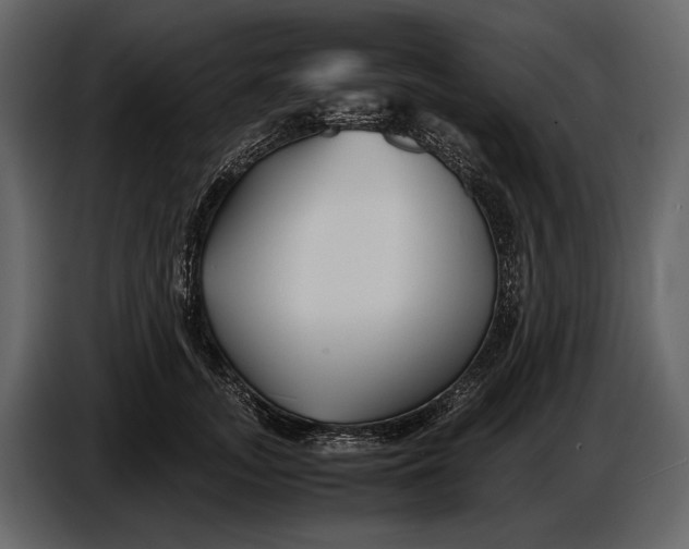 X0000086960755200705071336