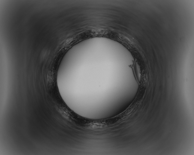 X0000086960756200705071336
