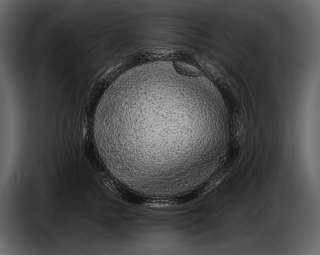 X0000086960758200705071336
