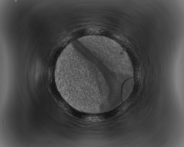 X0000086960759200705071336