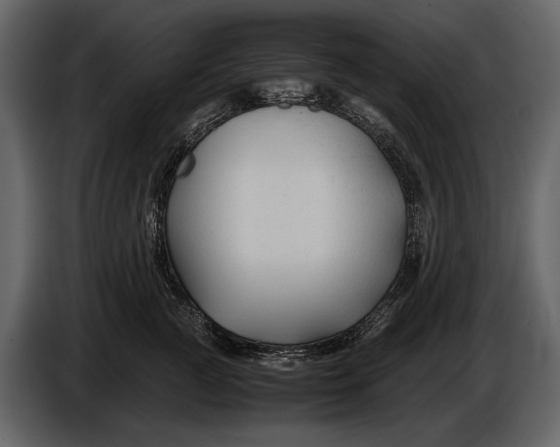 X0000086960761200705071336