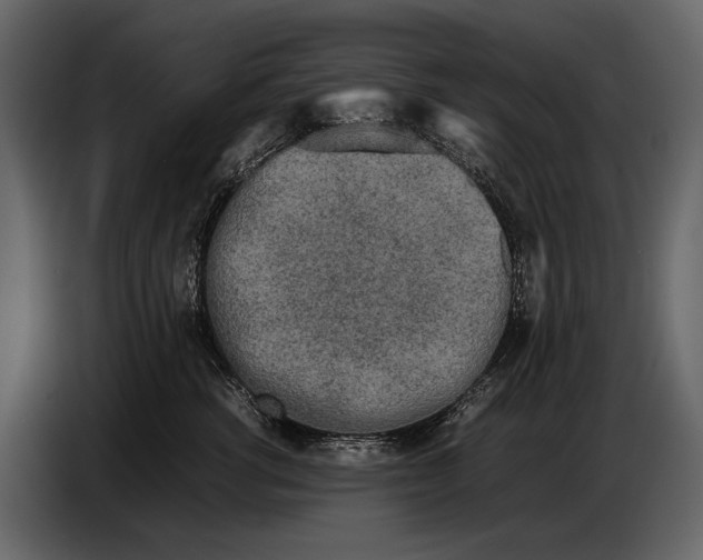 X0000086960762200705071336