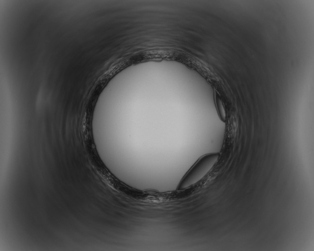 X0000086960764200705071336