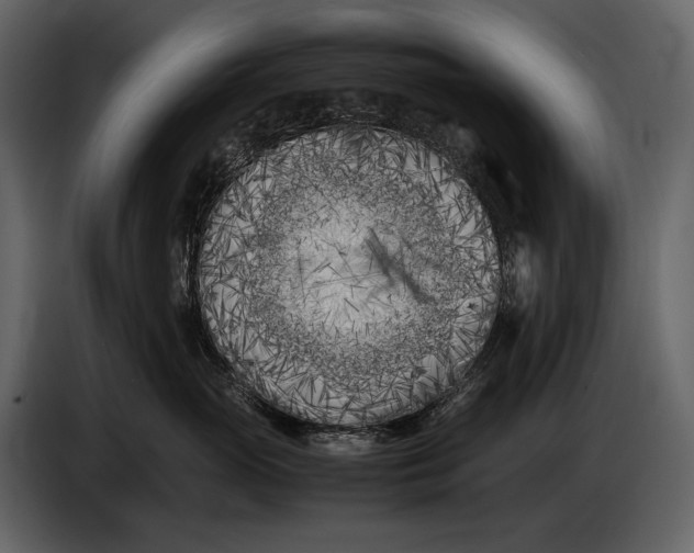 X0000086960765200705071336