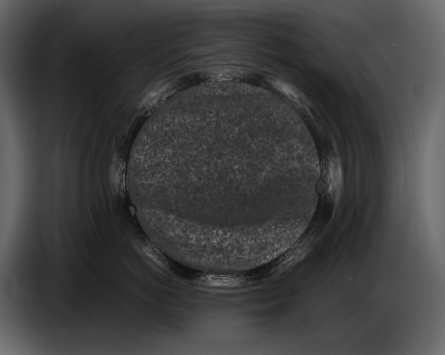 X0000086960766200705071336
