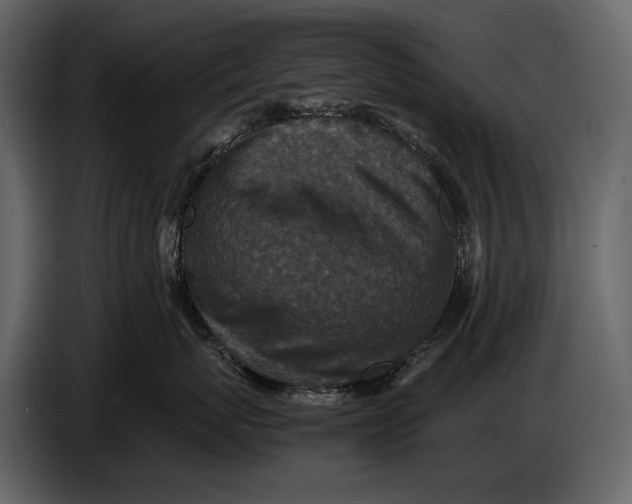 X0000086960767200705071336