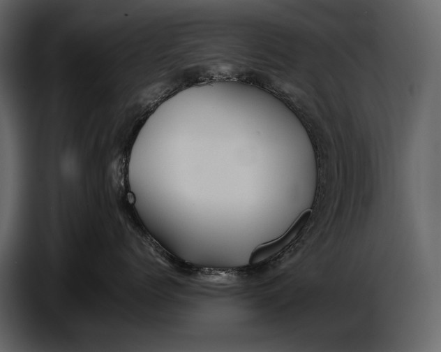 X0000086960768200705071336