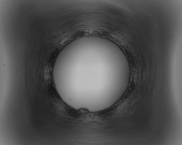 X0000086960770200705071335