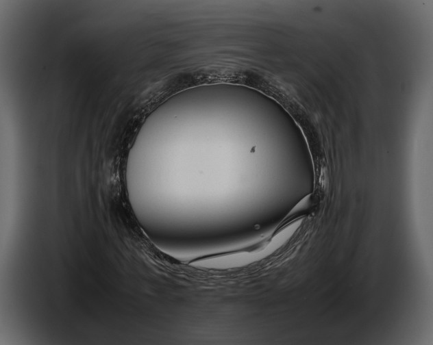 X0000086960771200705071335