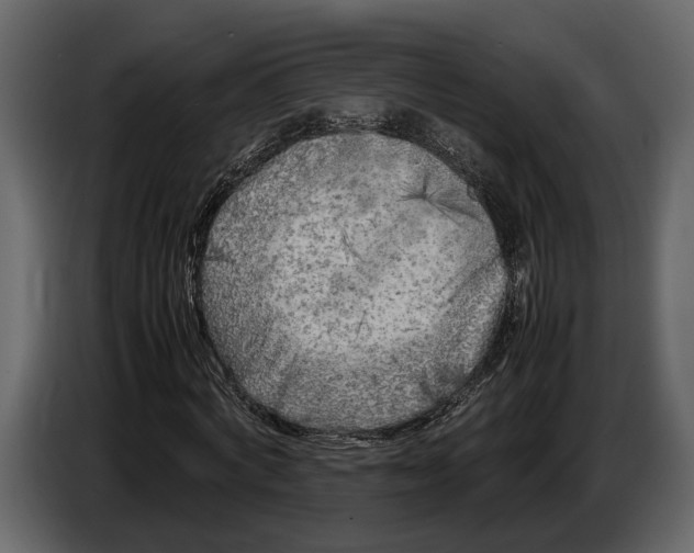 X0000086960772200705071335