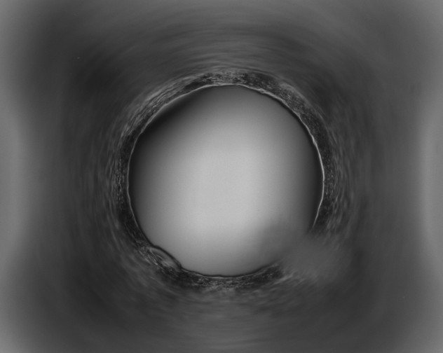 X0000086960773200705071335