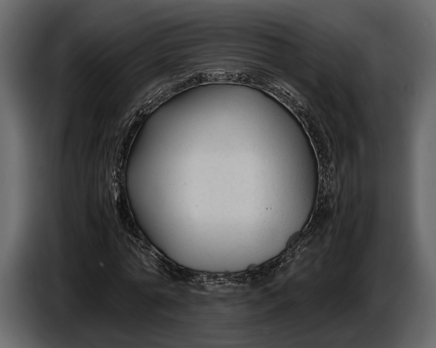 X0000086960774200705071335