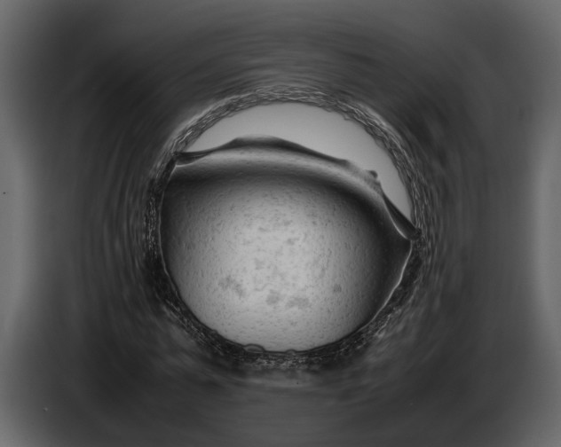 X0000086960775200705071335