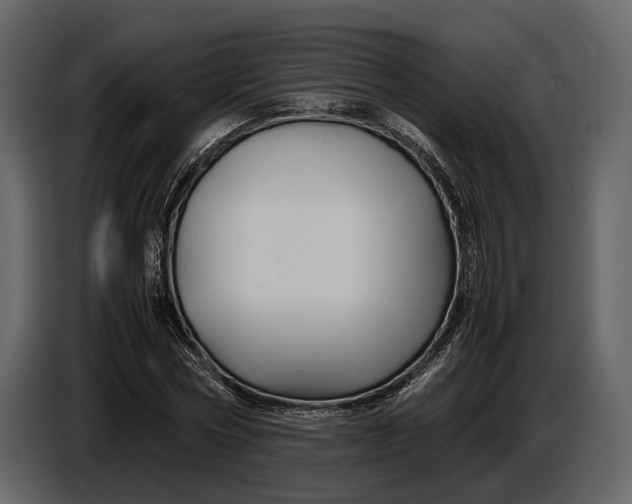 X0000086960778200705071335