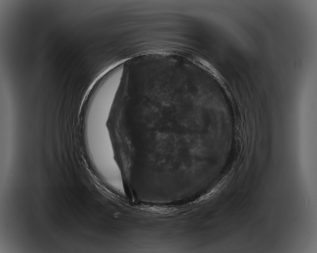 X0000086960779200705071335