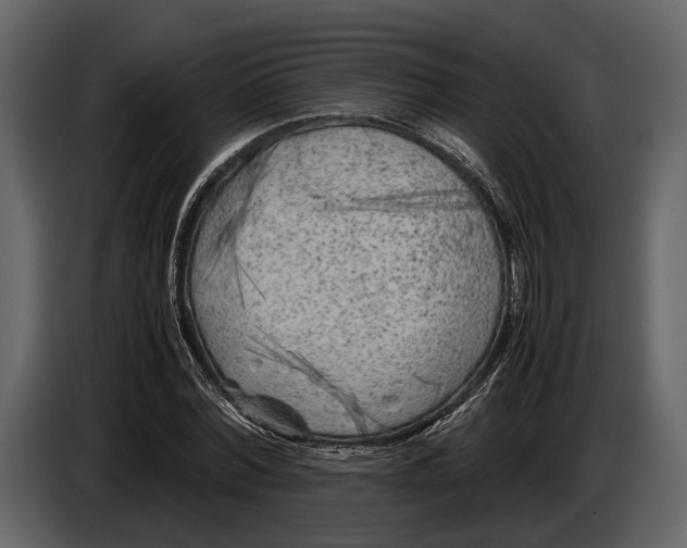 X0000086960780200705071335