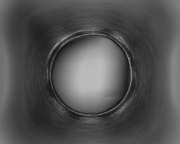 X0000086960781200705071335
